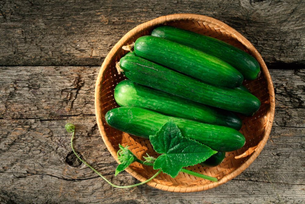 Top 9 Foods for Naturally Hydrated, Healthy Skin