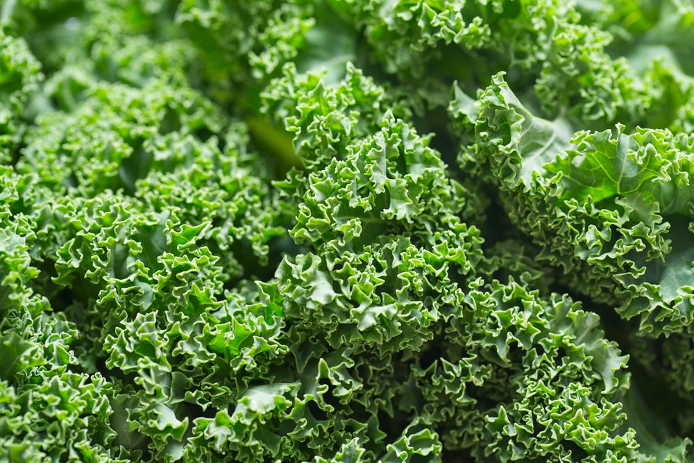 13 Foods to Boost Circulation & Improve Health