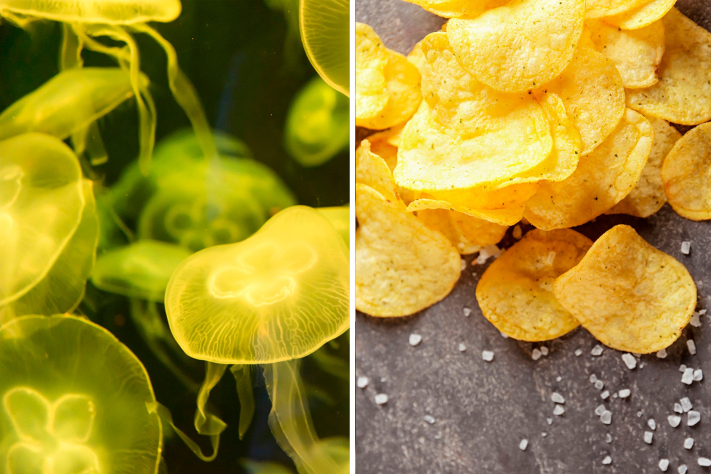Surprising Food Facts: 19 Things You Didn t Know About What You Eat