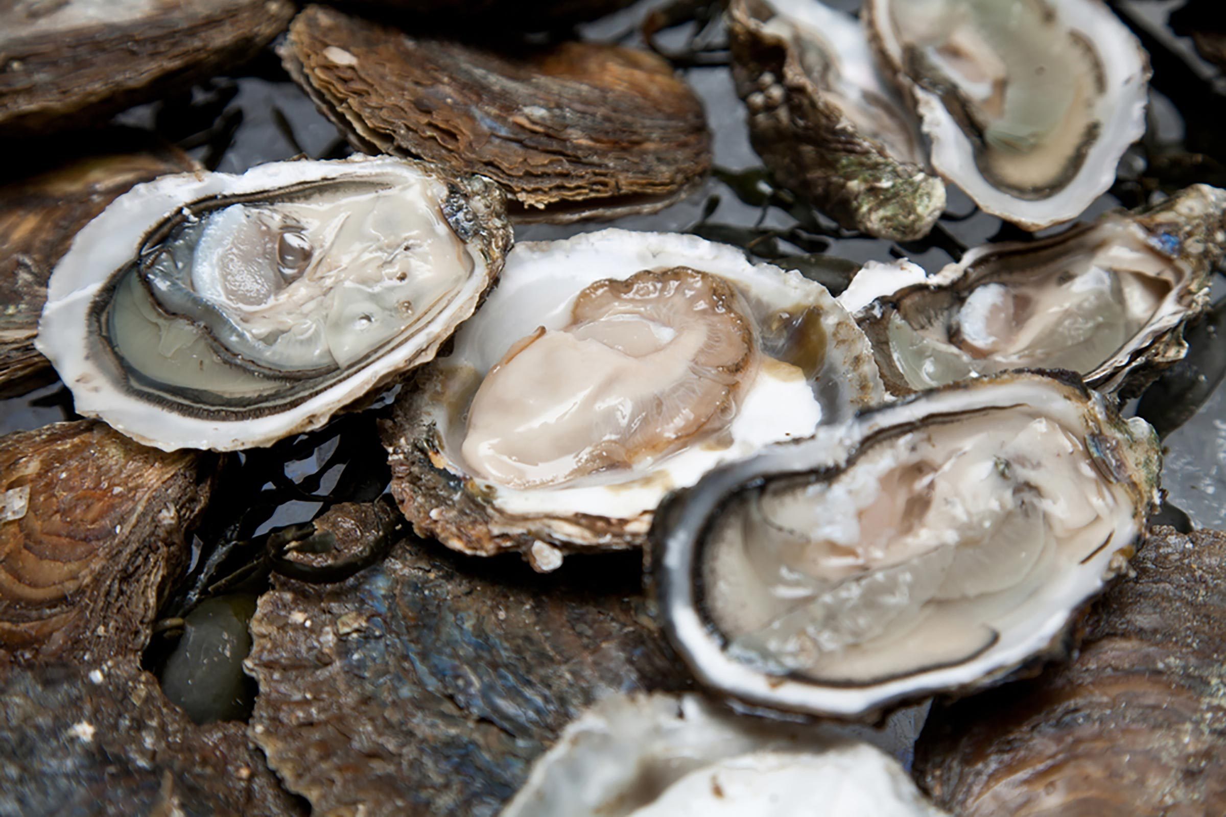 Surprising Food Facts: 19 Things You Didn t Know About What You Eat
