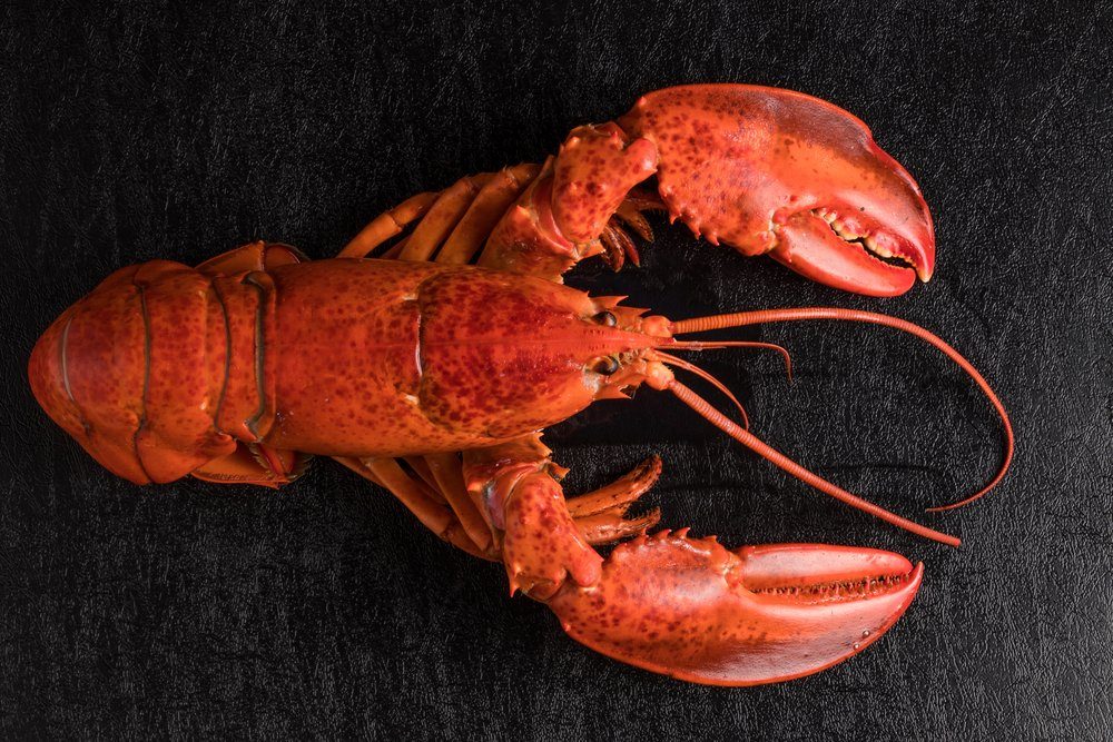 Historical Food Fails: 13 Foods Once Disliked (and Why)