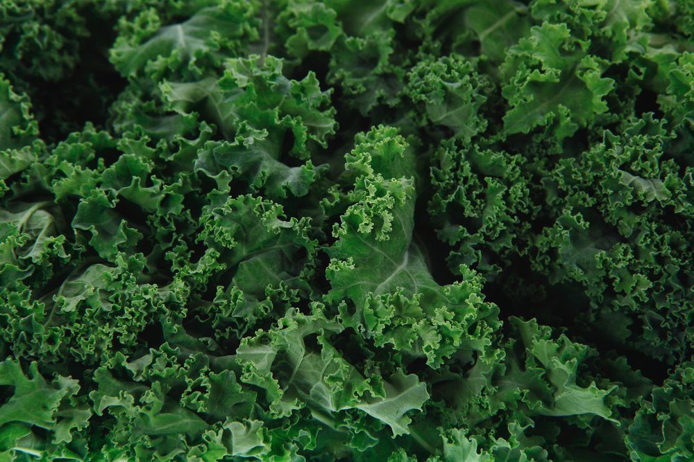 Historical Food Fails: 13 Foods Once Disliked (and Why)