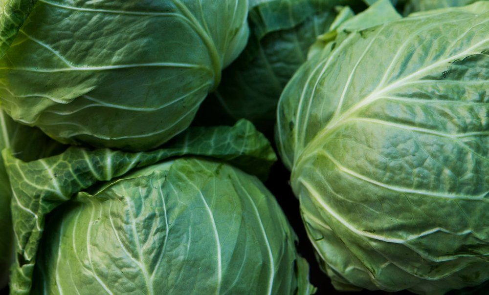 Historical Food Fails: 13 Foods Once Disliked (and Why)