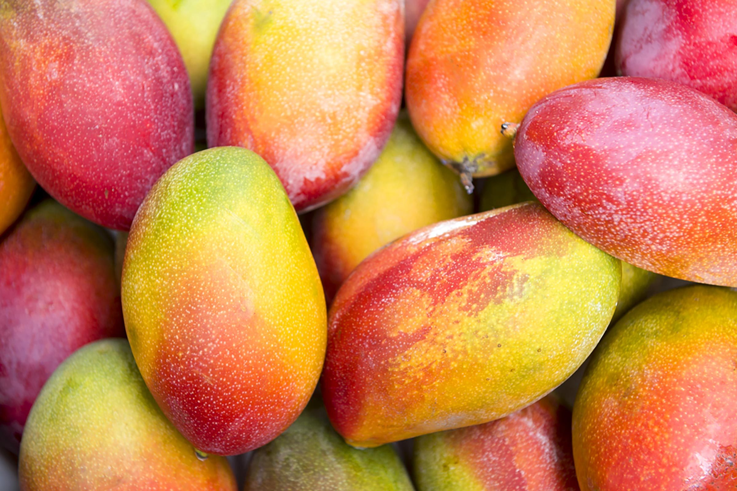 Top 10 Healthiest Fruits for Optimal Wellness