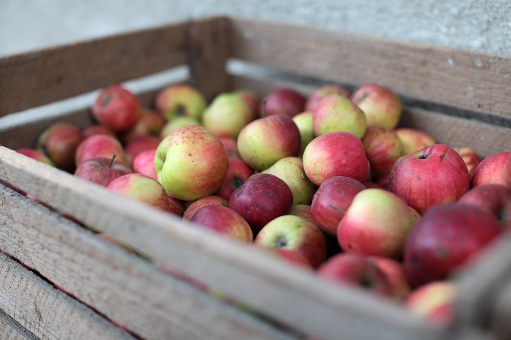 Top 10 Healthiest Fruits for Optimal Wellness