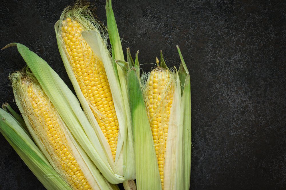 Top 10 Healthiest Vegetables: Boost Your Well-being with Powerful Foods