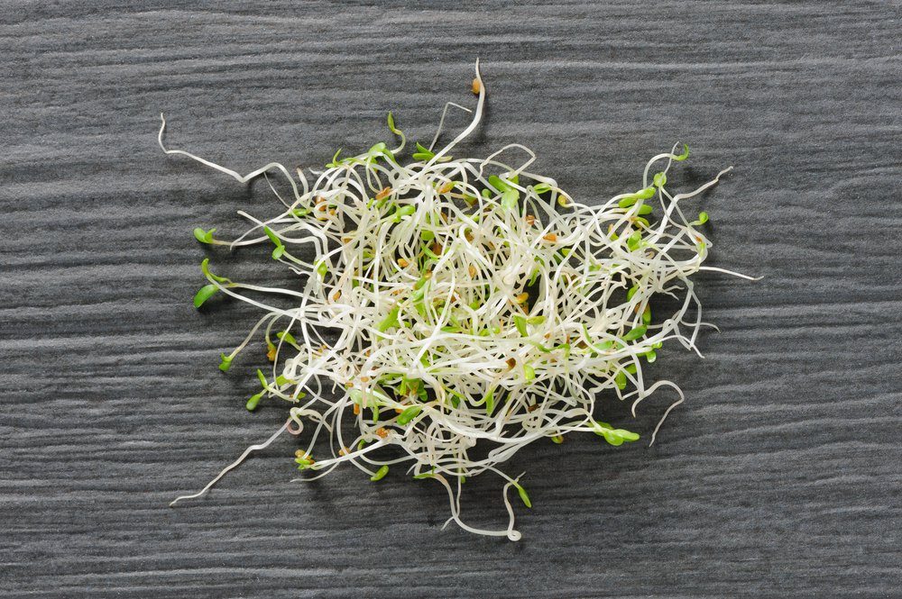 Top 10 Healthiest Vegetables: Boost Your Well-being with Powerful Foods