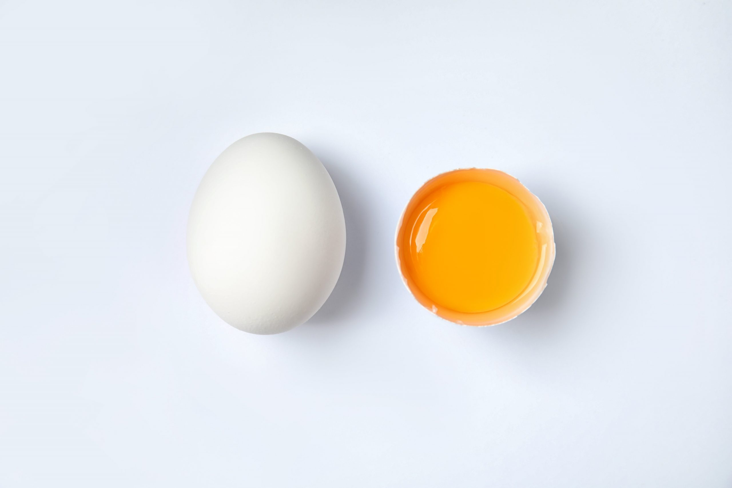 Top 12 High-Protein, Low-Carb Foods for Effective Weight Loss