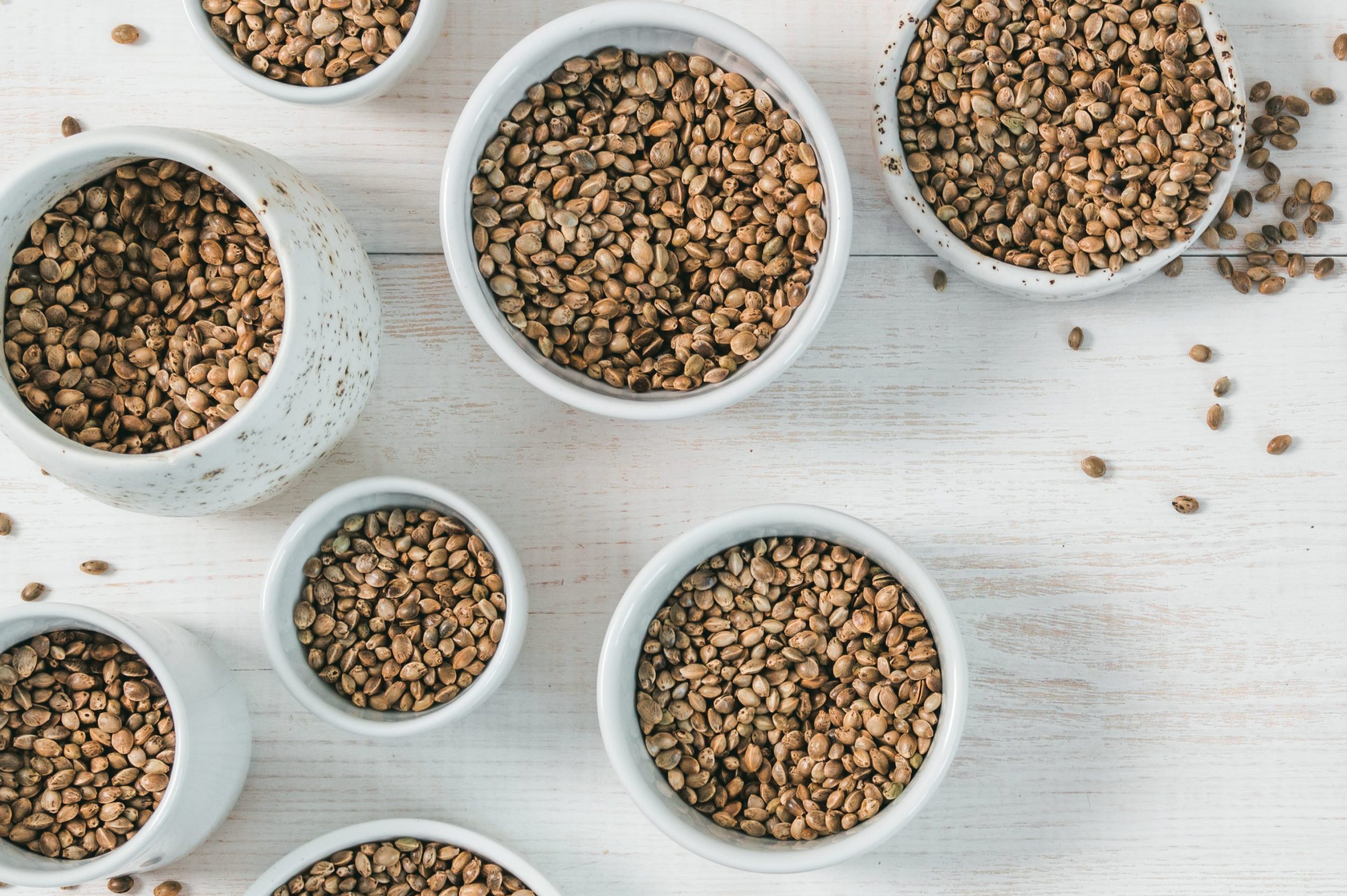 Top 12 High-Protein, Low-Carb Foods for Effective Weight Loss