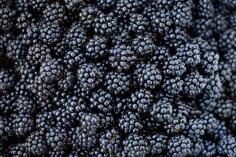 Foods to Lower Colon Cancer Risk: A Canadian Guide