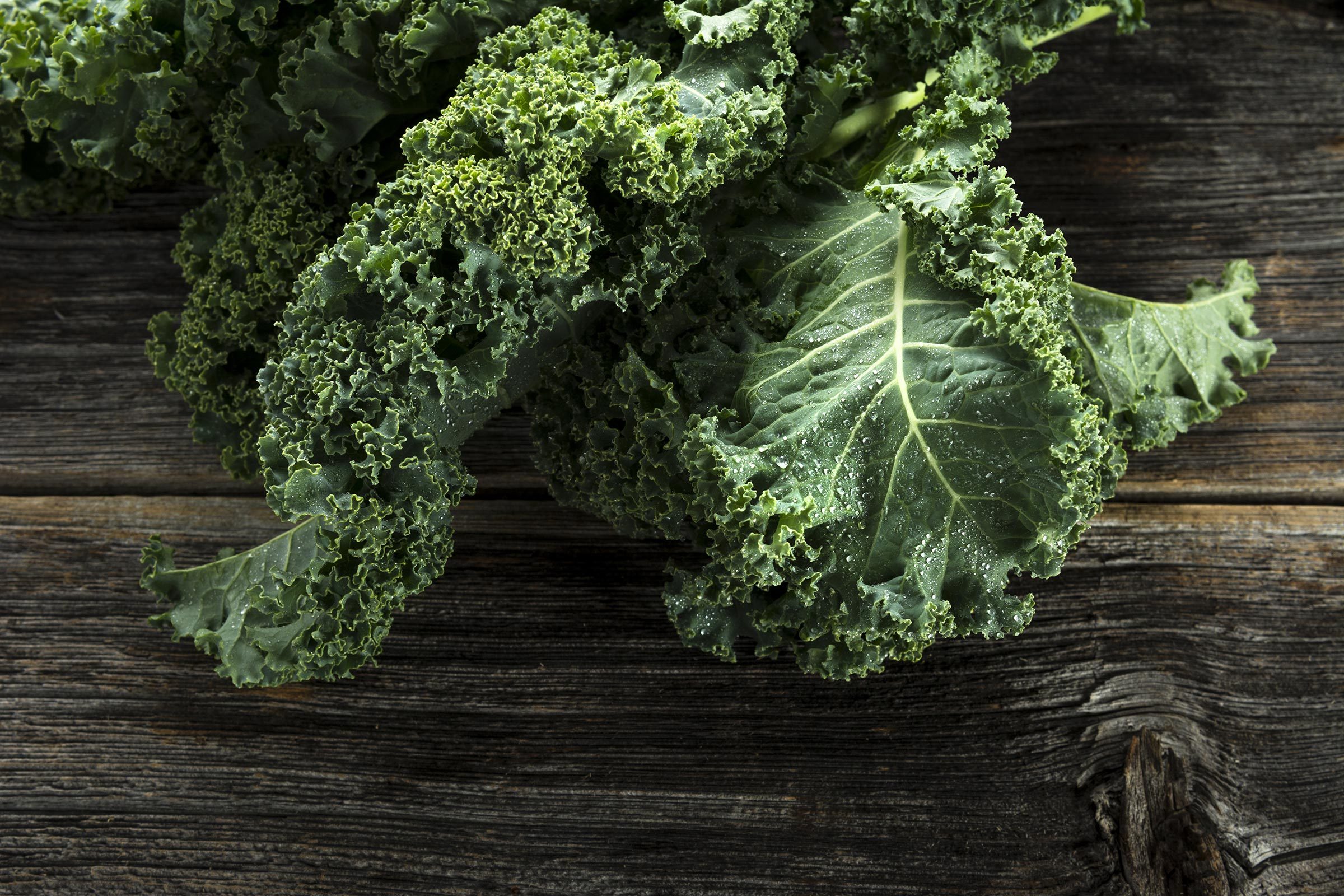 Top 14 Foods for Healthy Aging After 50 | Expert-Backed Nutrition