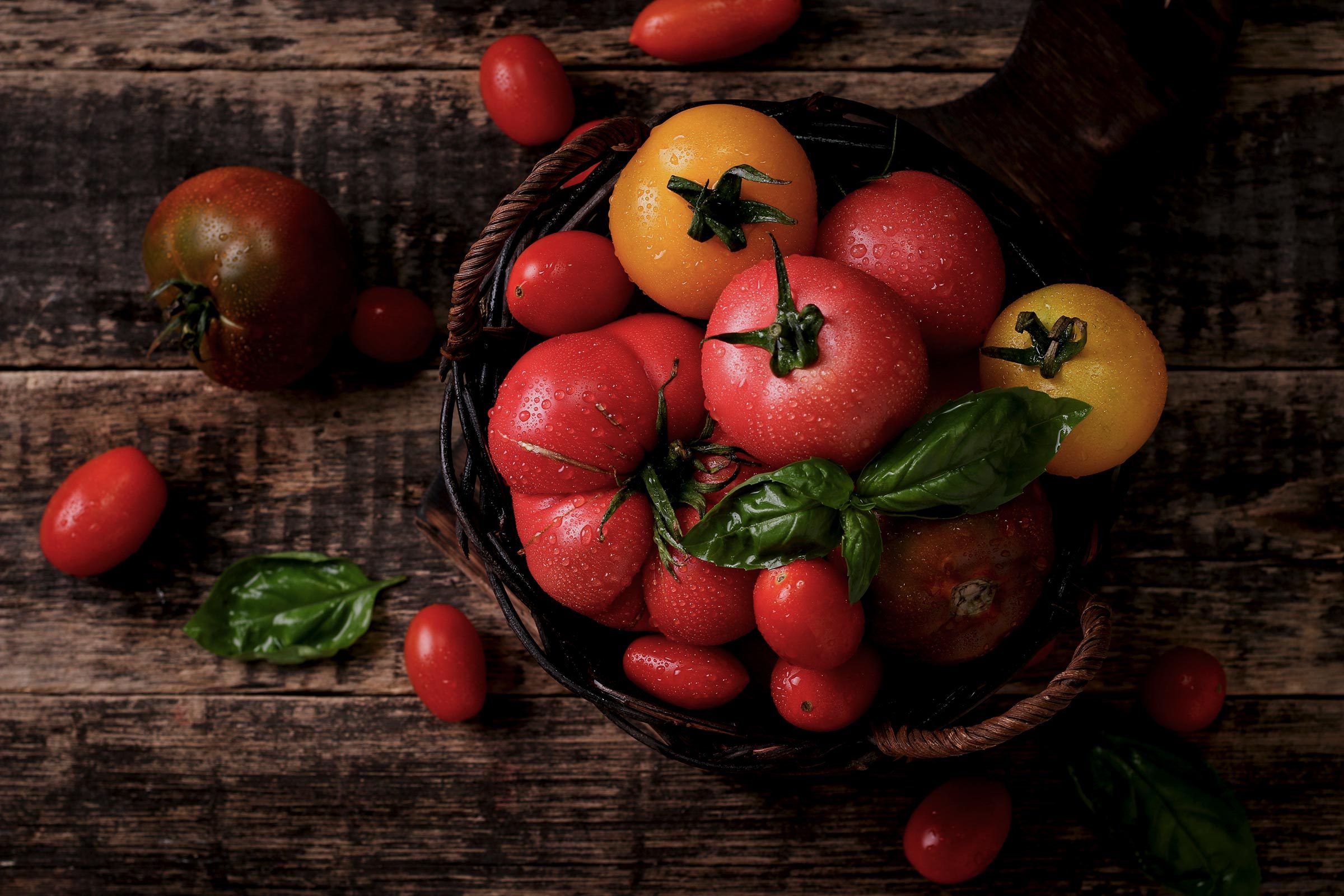Top 14 Foods for Healthy Aging After 50 | Expert-Backed Nutrition