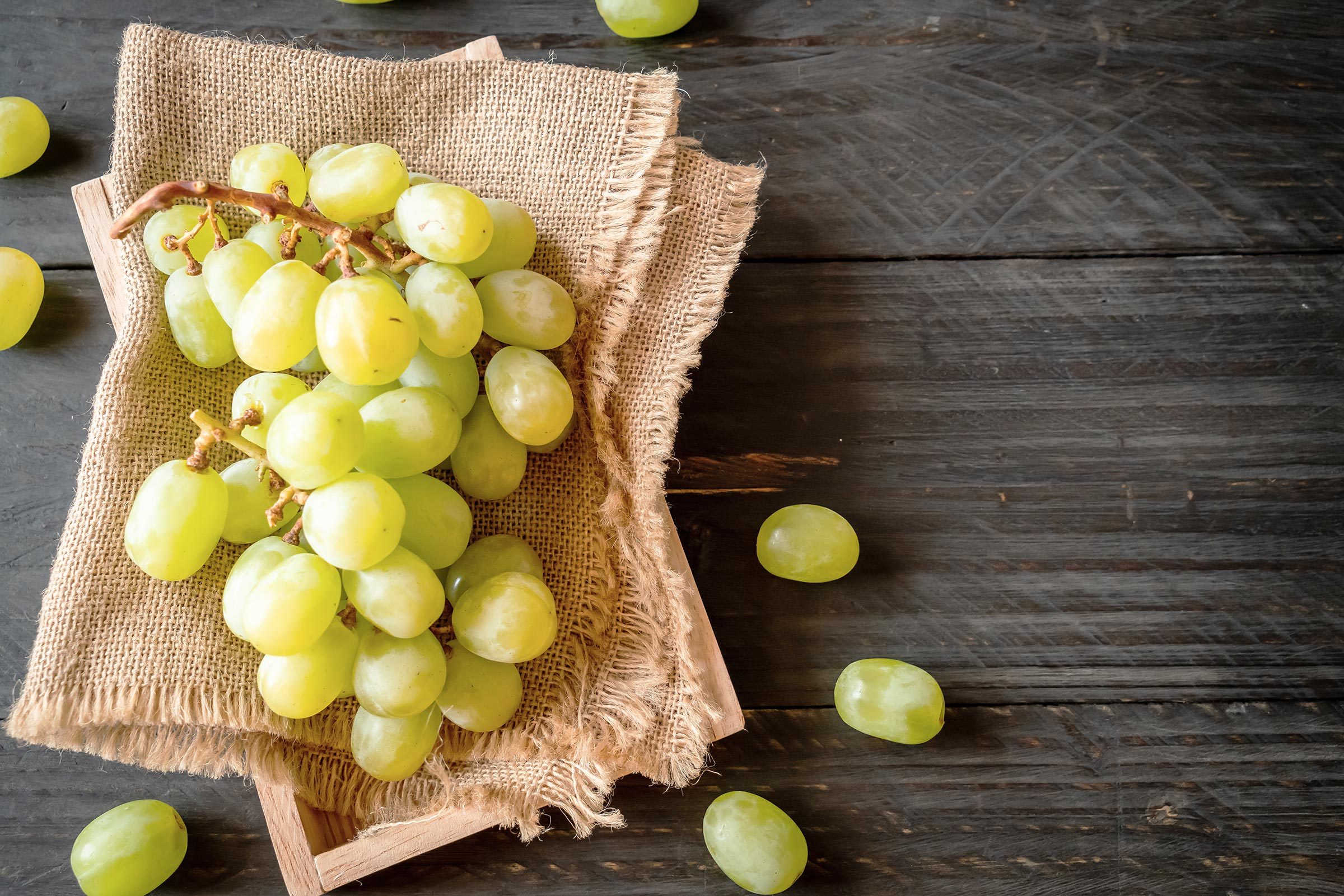 Top 14 Foods for Healthy Aging After 50 | Expert-Backed Nutrition