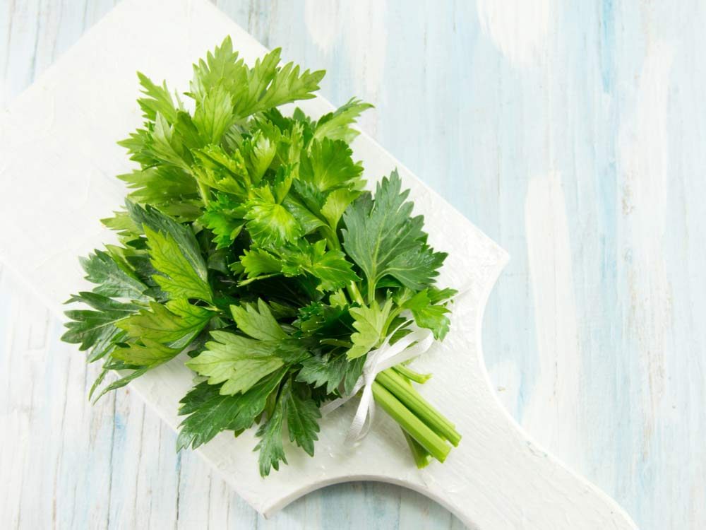 Reduce Waste: 14 Food Scraps You Can Repurpose (Not Trash!)