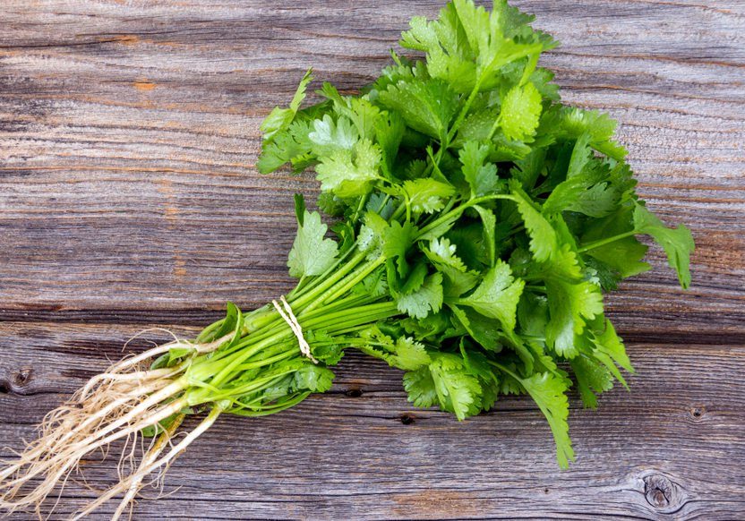 Reduce Waste: 14 Food Scraps You Can Repurpose (Not Trash!)