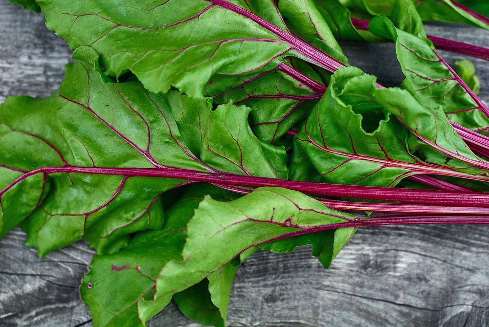 Reduce Waste: 14 Food Scraps You Can Repurpose (Not Trash!)