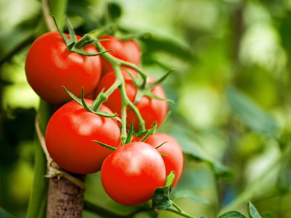 Benefits of Organic Food: 12 Groceries Worth the Investment