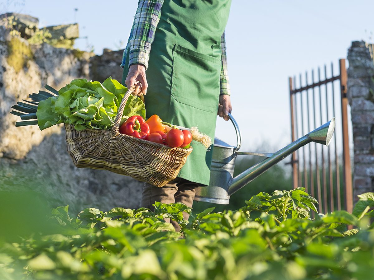 Signs of Vegetable Deficiency: Are You Getting Enough?