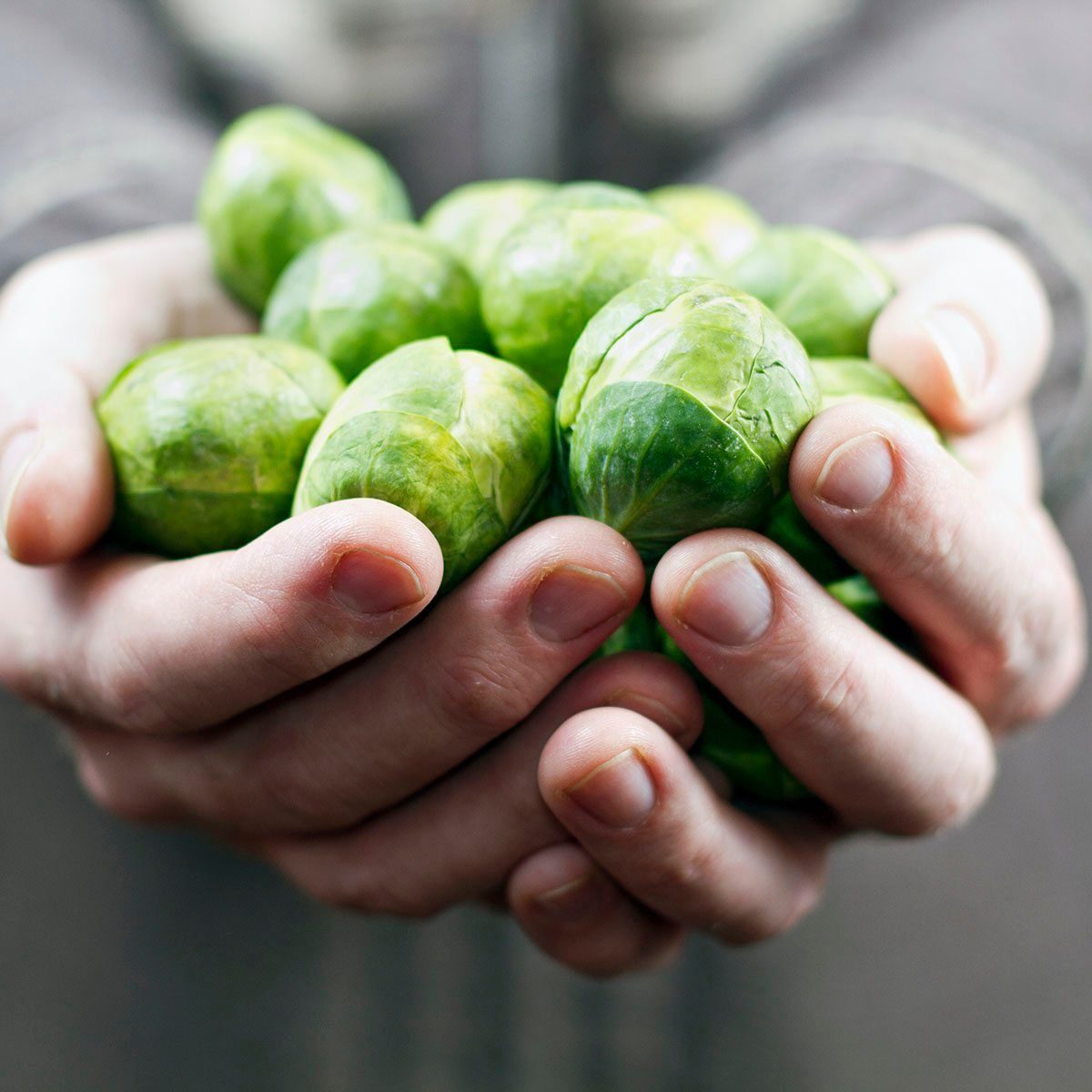 Brussels Sprouts: 11 Surprising Health Benefits & Nutritional Powerhouse
