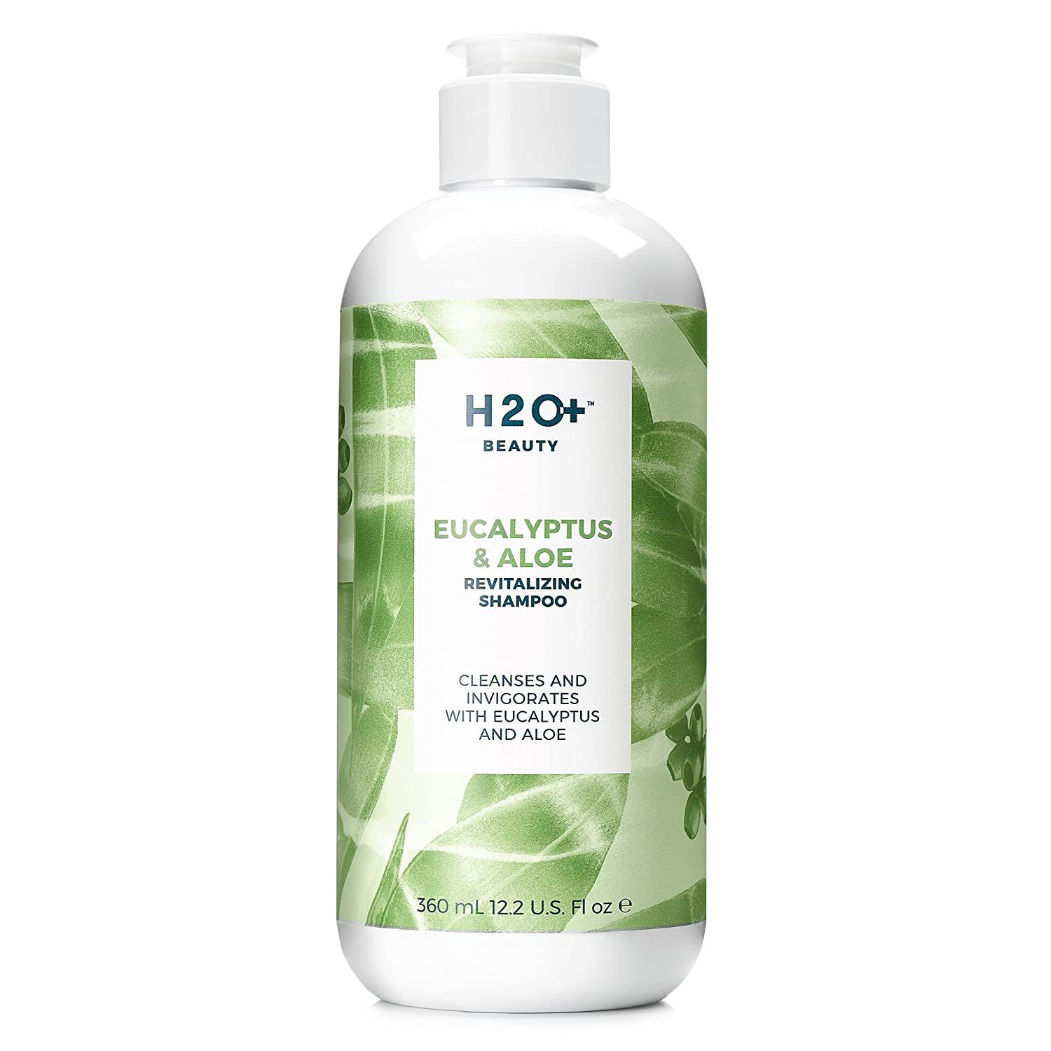 Eucalyptus Oil for Hair: Benefits, Uses & Application