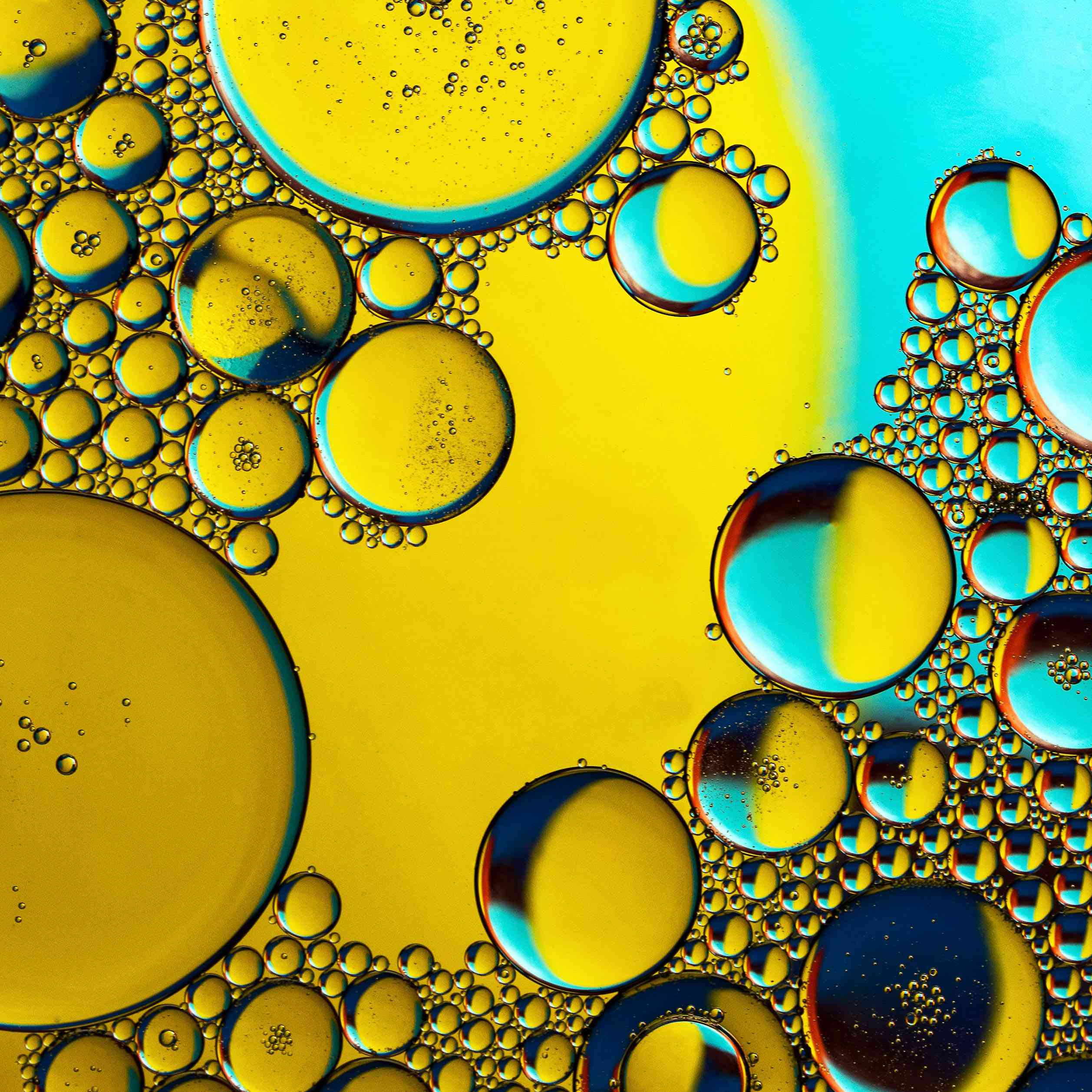 CLA Oil: Does Conjugated Linoleic Acid Really Burn Fat?