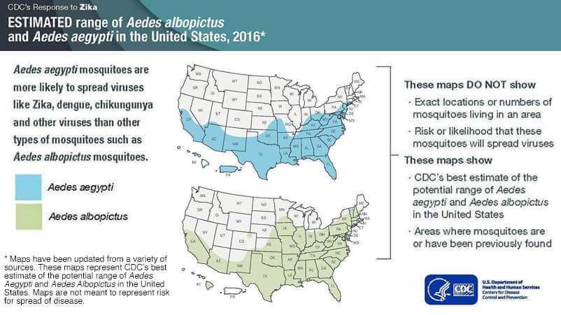 Zika Virus: Protecting Pregnant Women & Families - Facts & Safety