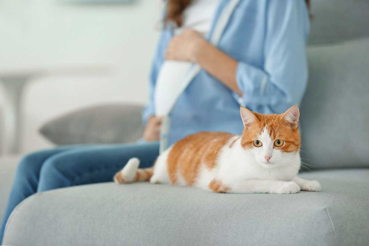 Pet Safety During Pregnancy: Risks & Precautions