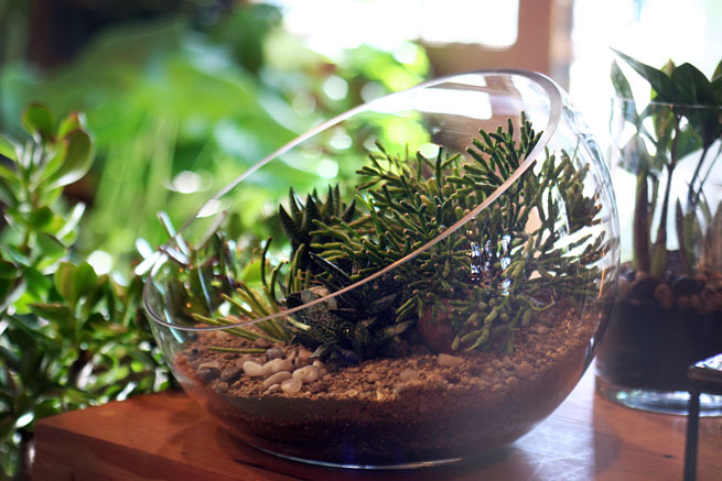 Secret Santa Gift Ideas: Popular & Universally Loved Options