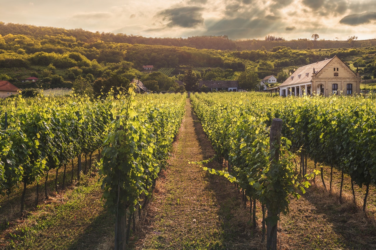 Best Father s Day Getaways 2019: Short Trips to Celebrate Dad