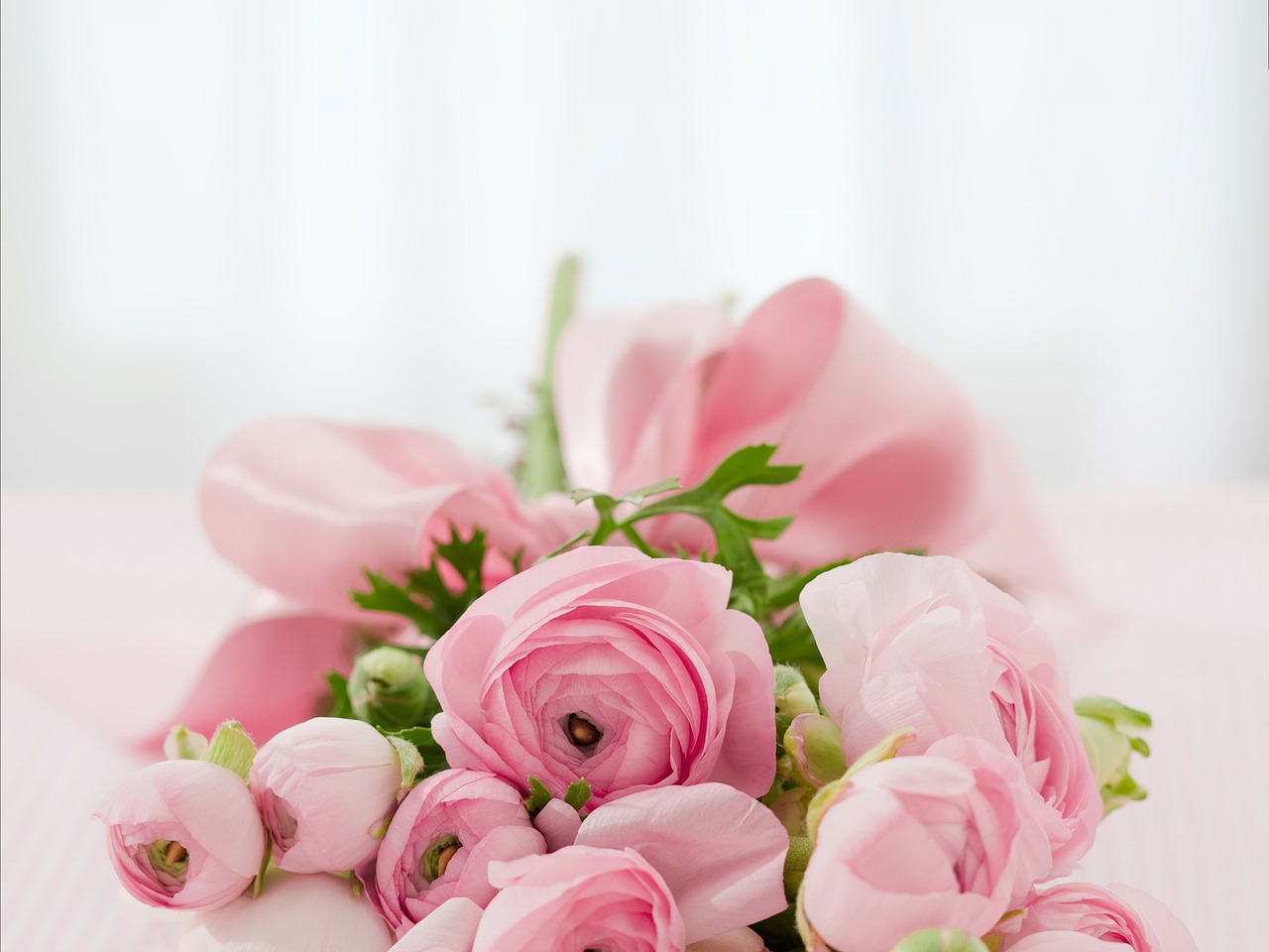 Understanding the Courtship Period: Importance & Dynamics