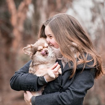 Are You an Extreme Dog Lover? 10 Signs You re Deeply Connected to Your Canine Companion