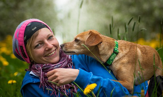Are You an Extreme Dog Lover? 10 Signs You re Deeply Connected to Your Canine Companion