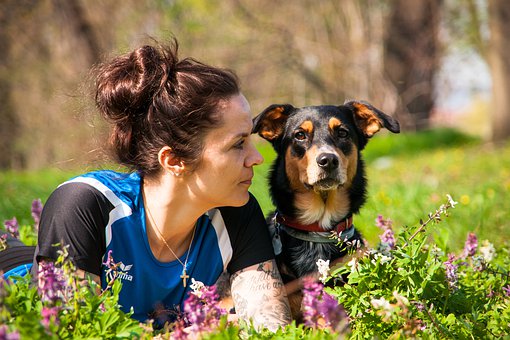 Are You an Extreme Dog Lover? 10 Signs You re Deeply Connected to Your Canine Companion