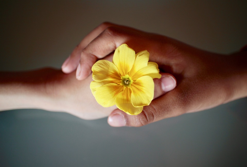 Finding Love: 7 Signs of a Healthy and Ideal Relationship