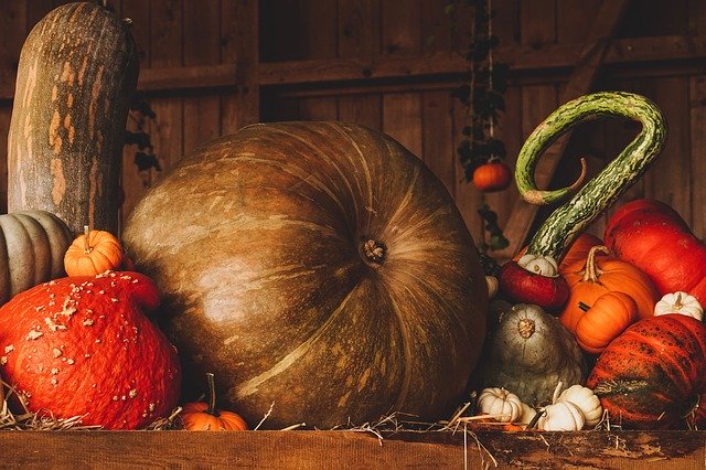 Thanksgiving 2019: Date, Meaning & Celebrations in the US & Canada