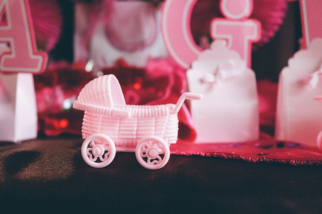 Planning the Perfect Baby Shower for Your Sister: A Comprehensive Guide