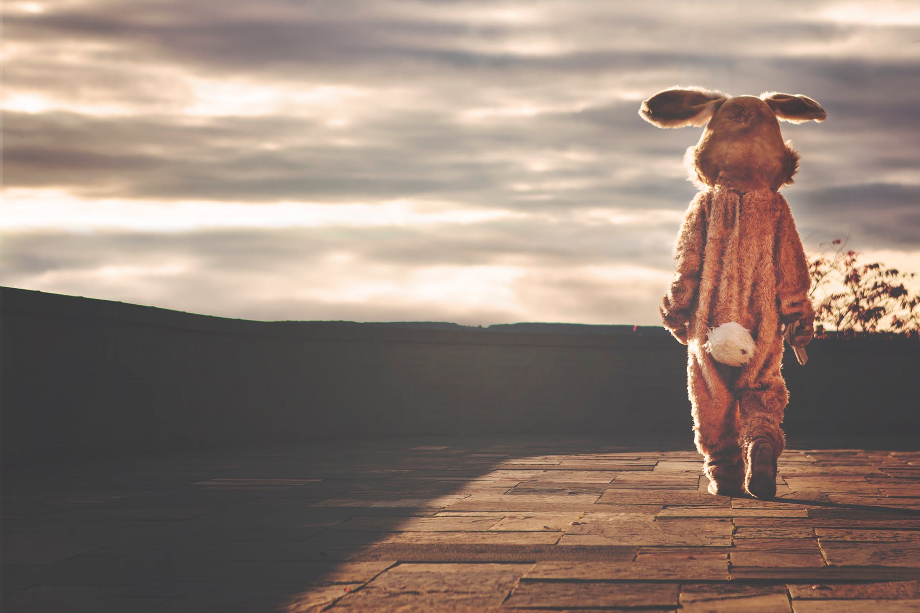 Are You Ready? Signs You Should Pause on a Relationship