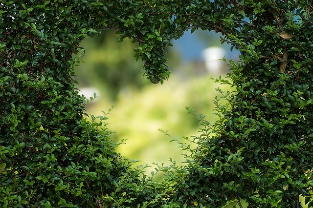 Valentine s Day 2020: Romantic Wishes, Images & Quotes for Your Loved One
