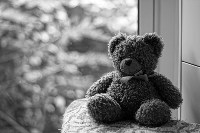 Luxury Teddy Bears: The World s Most Expensive Collectibles