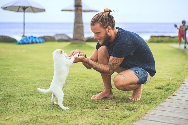 15 Signs Your Pet is Your Best Friend