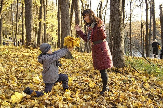 The Unique Bond Between Mothers and Sons: Why It s So Strong