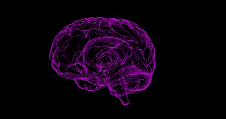 The Neuroscience of Love: What Happens in Your Brain When You re in Love