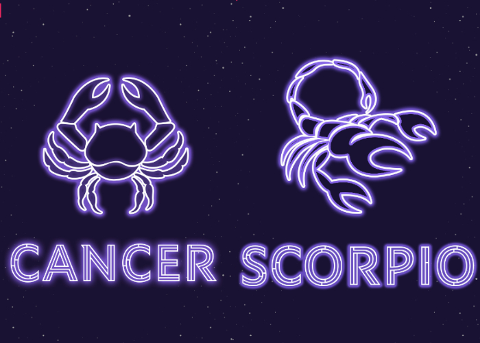 Most Compatible Zodiac Sign Pairings: An Astrological Guide