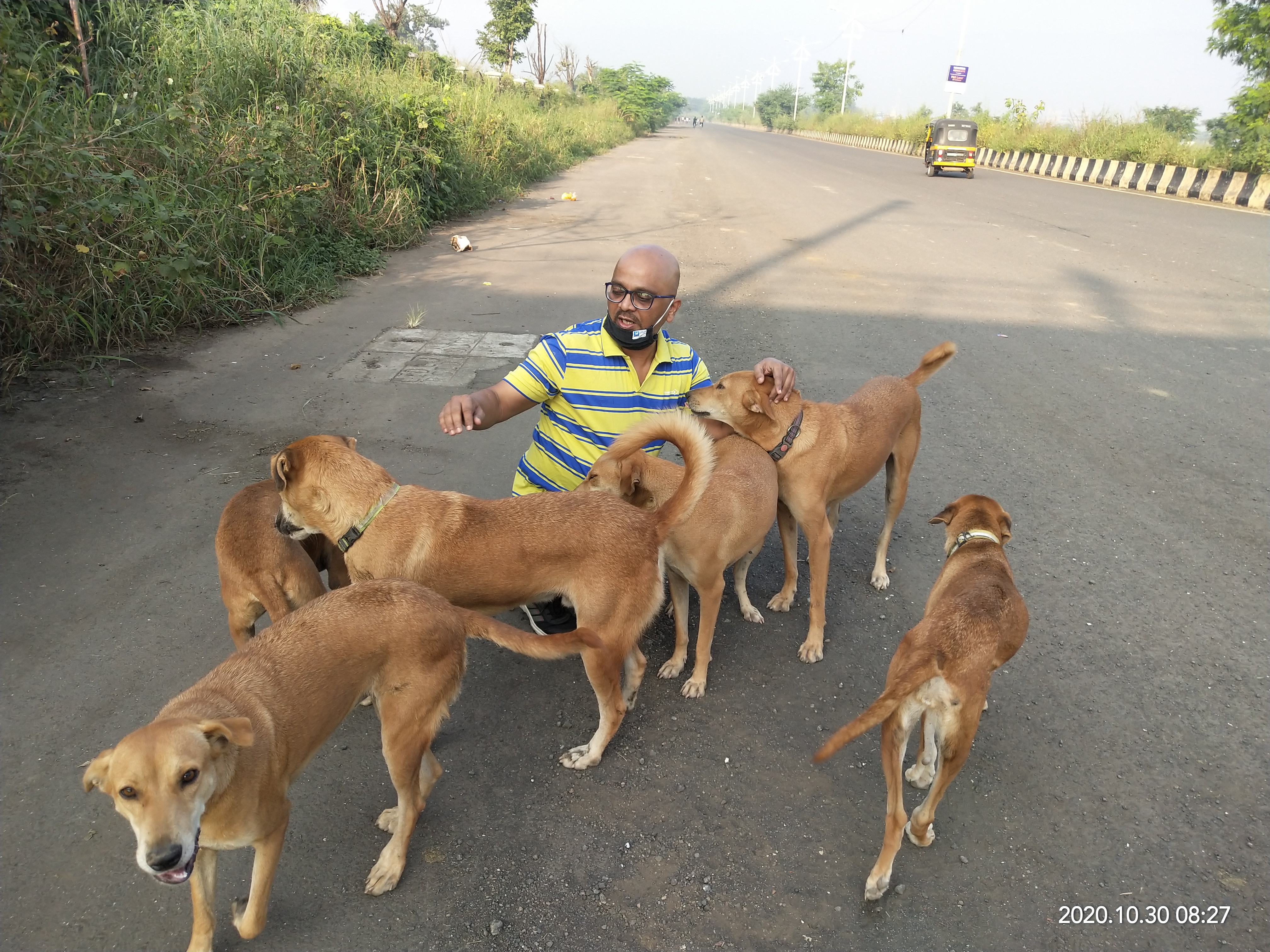 Festive Animal Care: Tips for Pets & Strays from Utpal Khot