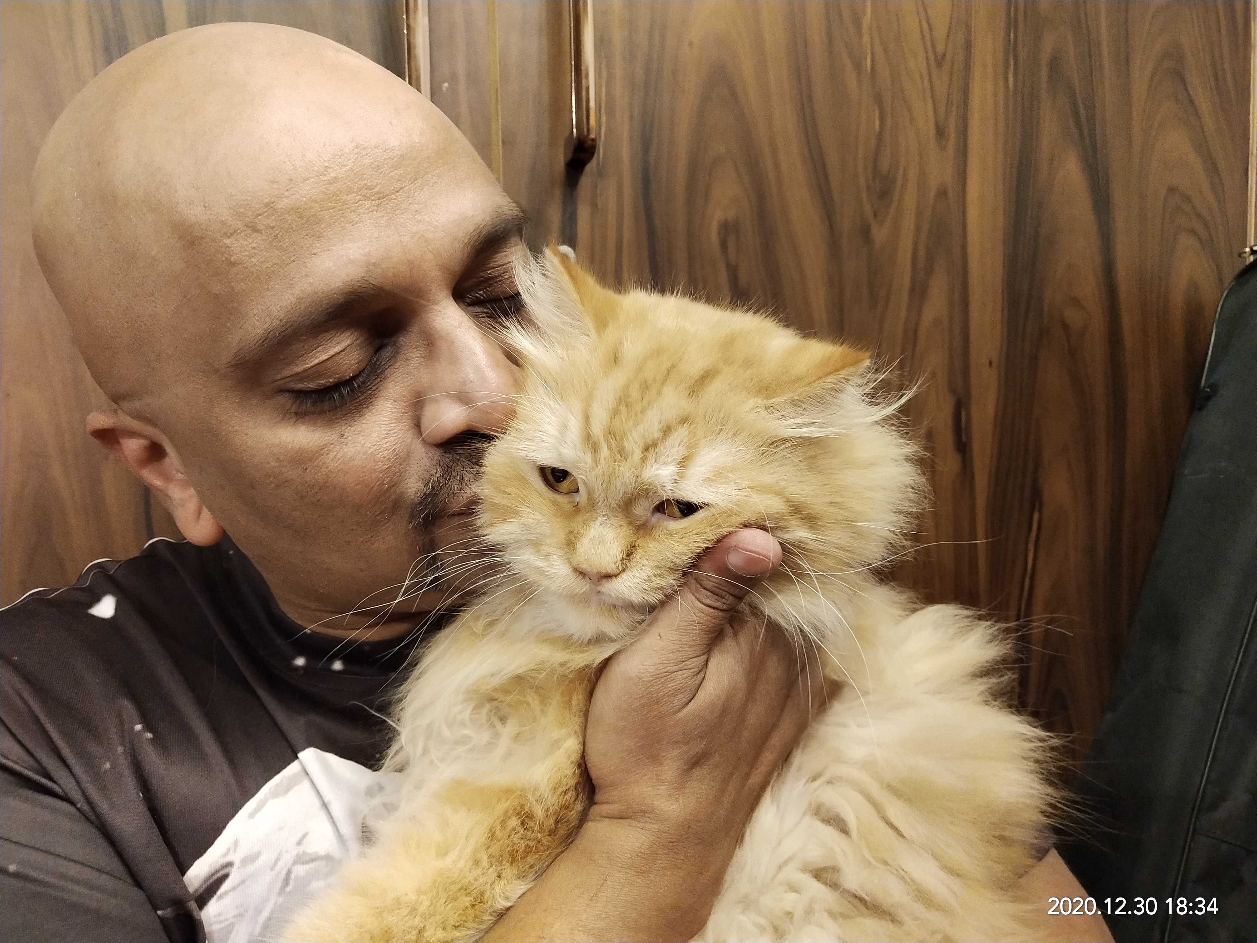 Winter Pet Care: A Guide to Keeping Your Pets Healthy & Happy