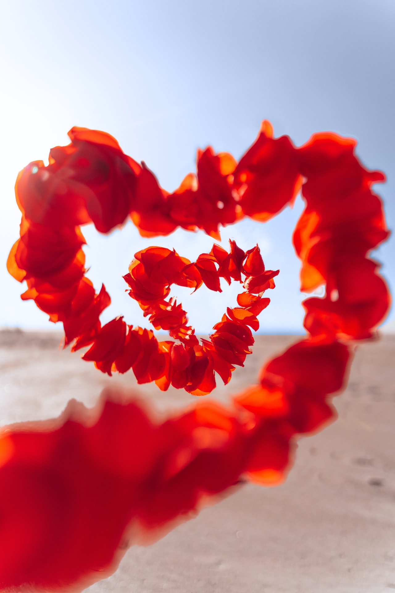 Valentine s Day 2024: Astrological Predictions by Pandit Jagannath