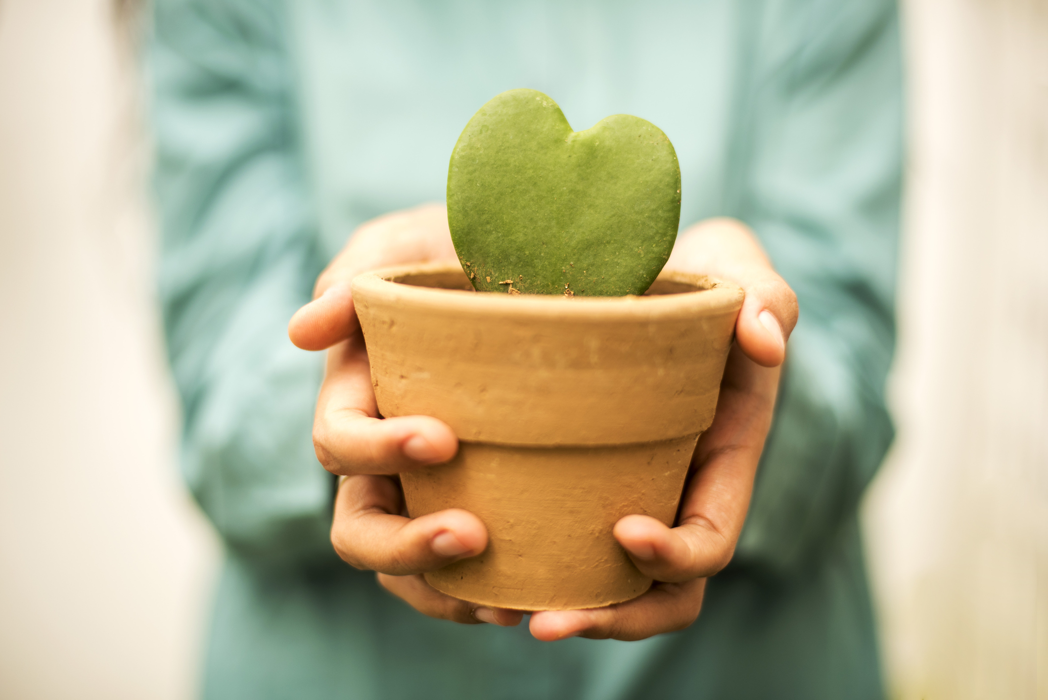 Romantic Valentine s Day Gift Ideas to Delight Your Partner