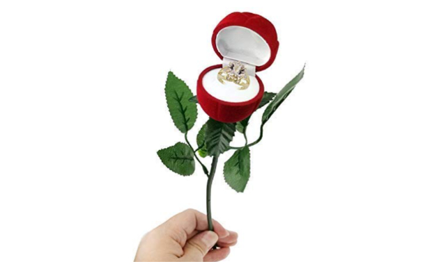 Romantic Proposal Ideas: 5 Heartfelt Ways to Ask for Their Hand