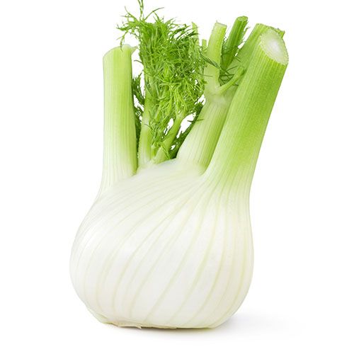 Top 25 Bloat-Reducing Foods: Expert-Backed Solutions