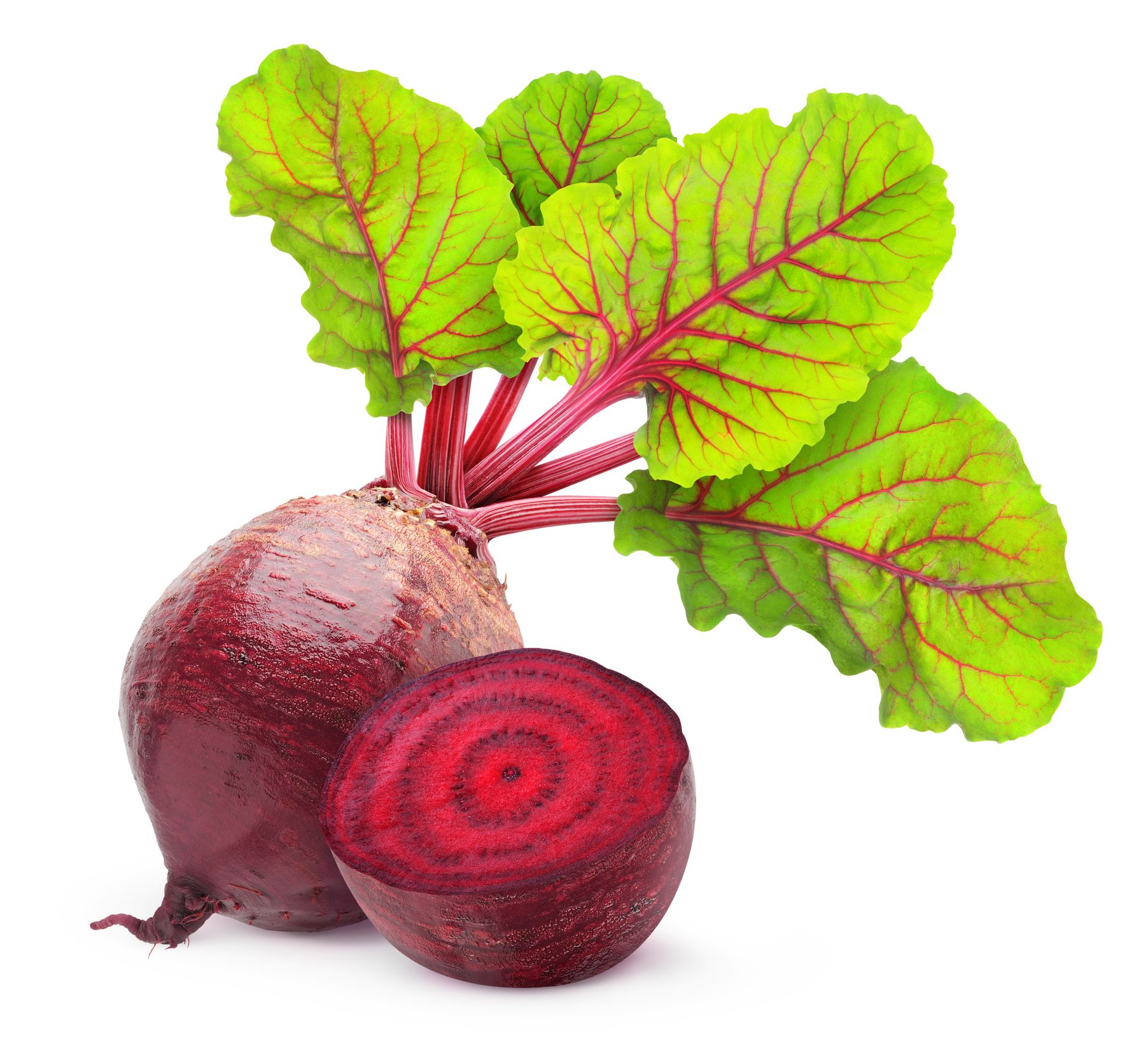 Top 25 Bloat-Reducing Foods: Expert-Backed Solutions